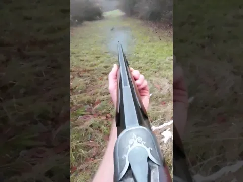 Hunting European Hare for Food