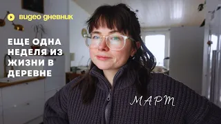 31. Много кофе, библиотека, перестановка в мастерской и прогулки в лесу