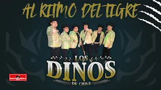Al Ritmo del  Tigre 🐯 🐯 -  Los Dinos de Chile