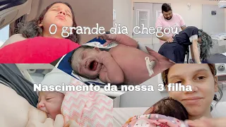 Nascimento da baby bella, parto normal pelo SUS, tudo perfeito🤍✨