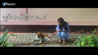 ချစ်တတ်ပြီလား - Love is a skill nobody really notices