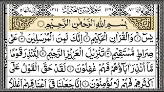 Surah Yasin (Yaseen) Full | سورۃ یس ☘️ Surah Yasin Full | Best Quran | Recitation | Episode 0028