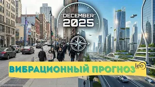 Вибрационный прогноз от lee | декабрь 2025 года