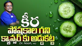 Benefits of Cucumber | కీర పోషకాల గని క్యాన్సర్ కు అడ్డుకట్ట | Dr. Noah