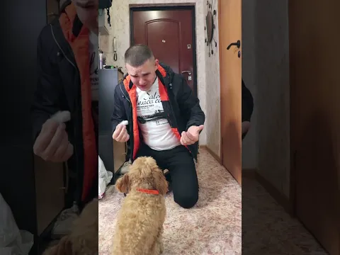 НЮША СЬЕЛА БЕЛКУ #cat