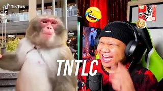 1 LAUGH = 1 NATTO KACANG BASI🥡 - Try Not To LAUGH & SMILE Challenge #11