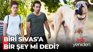 Ekibin Sivas Ziyareti - Aşk Yeniden Özel Sahneler