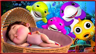 Baby Shark's Happy Family 🦈👨‍👩‍👧‍👦🎶 - baby song - Nursery Rhymes | Banana Cartoon