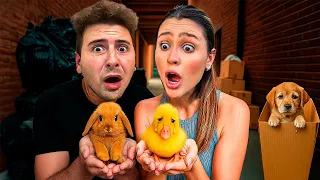 RESGATAMOS ANIMAIS ABANDONADOS POR TODA CIDADE! *COITADINHOS*