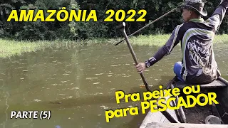 DE VOLTA À COMUNIDADE DA MANGUEIRA | T01 EP19