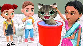 Billi | Meow Meow | Cat Videos | Cats