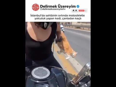 Motosiklet yolculuğu sırasında motordan atlayan kedi 😱 #kedi #motovlog #shorts