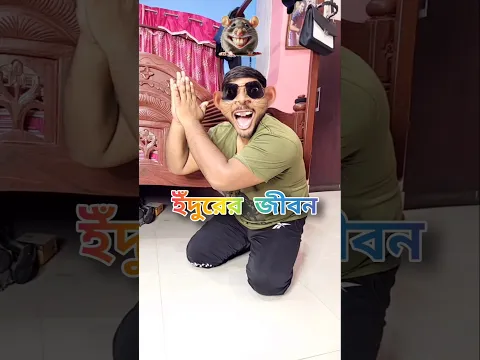 ইঁদুরের জীবন অন্যান্য দিন vs গনেশ পুজোর দিন 😱 #funny #food #viral #shorts