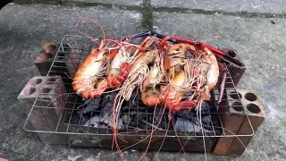 Tôm càng sông Cao Lãnh
