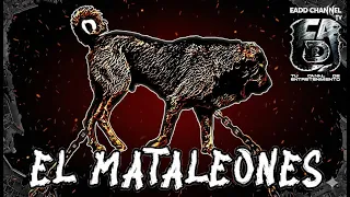 Mastín Asirio 😱🔥 ¿Más Fuerte que el Kangal y el Dogo Argentino?