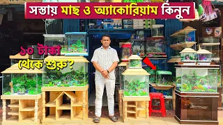 কম দামে অ্যাকোরিয়াম ও মাছ কিনুন 🐠 Biggest Aquariums & Fish Market । Aquariums Fish/Food/Medicine