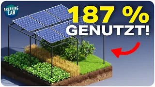Agri-PV: 500 Gigawatt Potential! Lohnt es sich?