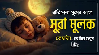 গভীর ঘুমের জন্য শুনুন সূরা আল মূলক খুব সুন্দর তেলাওয়াত। Surah Mulk / Shamsul Haque