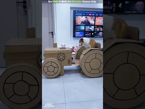 The Tractor Driving 😨| New Viral Gadgets, Smart Appliances, Kitchen Utensils/ Home Inventions