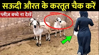 सऊदी औरतें बकरा ईद से पहले बकरे के साथ क्या करती हैं? ASTAGFIRULLAH