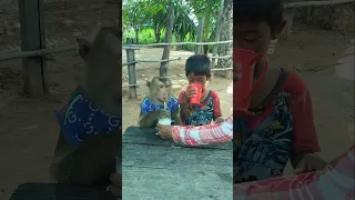 Good Video SokYaa,OG, Pao & Mom Are Famous Around The World #shorts
