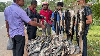 Amazing! Best Village Fish Market in Sri Lanka | Very Nice
