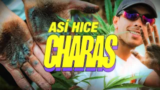 ¿Cómo se hace el CHARAS? | Concentrado de Marihuana hecho a mano