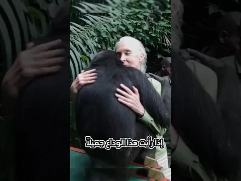 هذا أجمل وداع تراه في حياتك 🥹#animals#حيوانات #وداعا #جميل #مؤثر #ytshort #قصص #beauty #monkey#cute