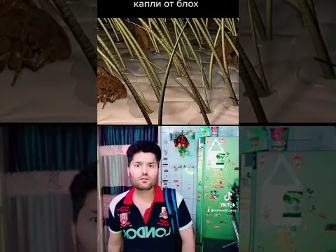 New Shorts Video | New TikTok Video | Famous Shorts Star | Afghan Star @youtube#500subs#shorts#movie