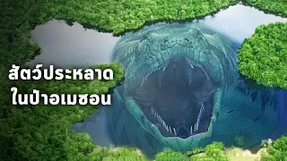 ทำไมแม่น้ำอเมซอนจึงมีแต่สัตว์ประหลาด?..และอะไรแปลกๆ