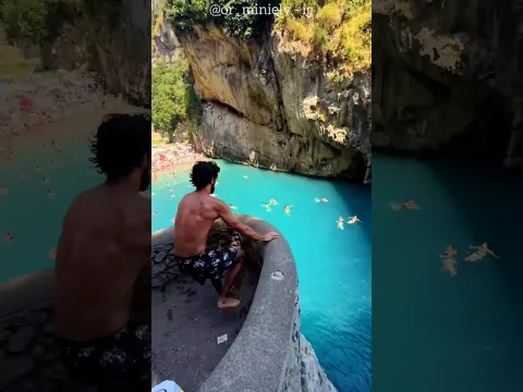 He Jumped Into the River for a Coin… But the Truth Was Shocking 😳💦 #Catsoftiktok #CatLovers #cat