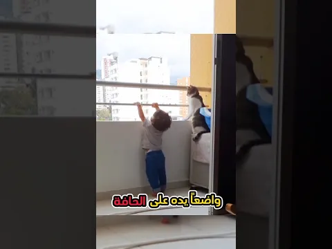 أنقذته القطة من خطر السقوط 😯#animals #حيوانات #cat #قصص #قطة#stories #shorts #ytshort #youtub #story