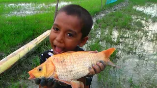 Best Hand Fishing - Traditional Catching Fish By Hand Fishing - Hand Fishing For Big Fish