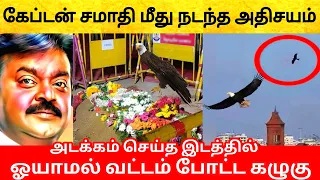 கேப்டன் விஜயகாந்த் –ஐ சுற்றி வட்டம் போட்ட கழுகு! திடீரென நடந்த அதிசயம்! Captain Vijayakanth DMDK