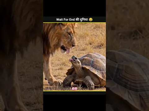Animals Funny Video 😂😂|| #funny #funnyanimals #shorts