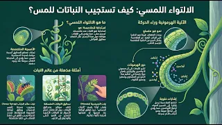 الانتحاء اللمسي