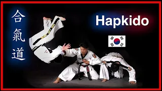 EL ARTE MARCIAL DE LOS SOLDADOS COREANOS KOREAN HAPKIDO