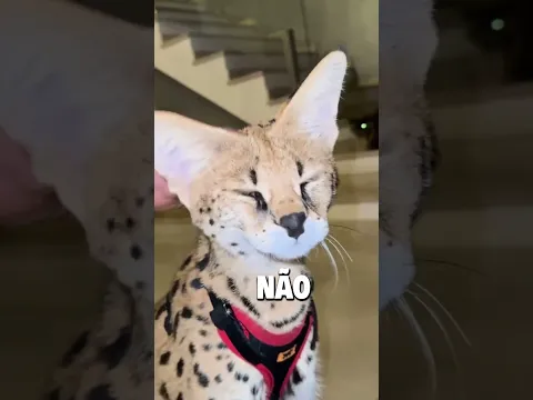 Só não quero perder o meu pé