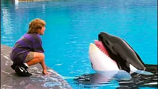 Boy saved a killer whale.#movieclips #viralvideo