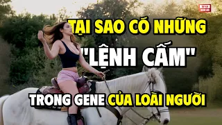 Tại sao có những "lệnh cấm" được khắc sâu trong gene? | THKT 027