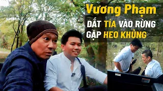 Vương Phạm dắt tía vào rừng Gặp heo khủng