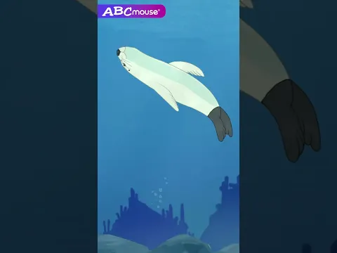 Underwater Animals | ABCmouse #animals #marinelife #sea #seal #fish #sealife #explore