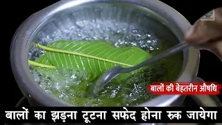 😱 सिर्फ 7 दिन में बालों का गिरना और सफेदी गायब! देखिए चमत्कारी उपाय ✨Home Remedy
