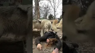 Someone asked if I were to play dead.