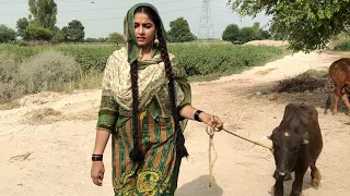 Aaj Maine Gaon Mei Bailgadi Chalayi