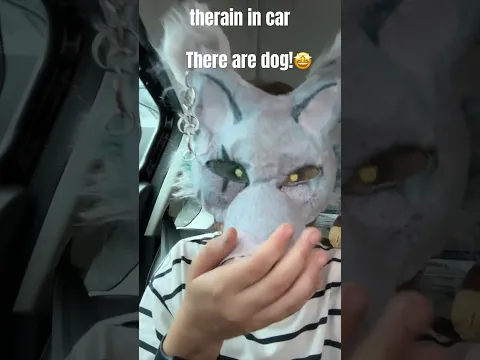 Therain in car! I see a fog and i am wolf! #theriangear #animals #therian #dog
