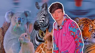 La Travesía en Bioparque con - Dam Gonzalez🦓