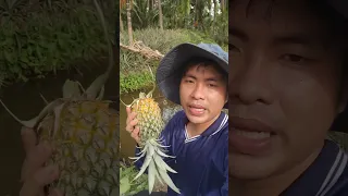 Một ngày ở quê 