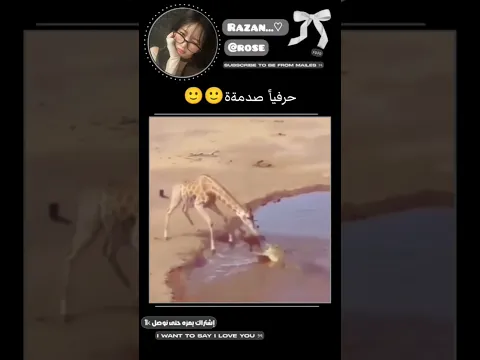 جاري الاستيعاب.. 🙂 #billie #اهميه #bts #bts #اكسبلور #ضحك #لايك_اشتراك #kpop