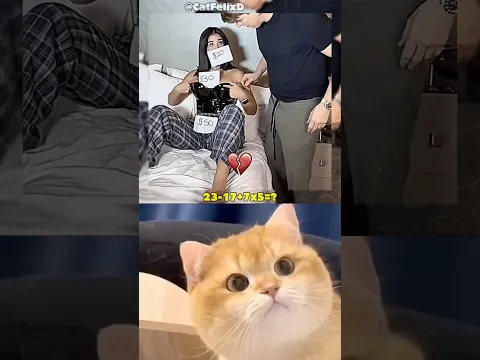 BRO is shocked by these prices😹🙀what about you?😻Part 2😹 #cat #funny #trending #shortfeed